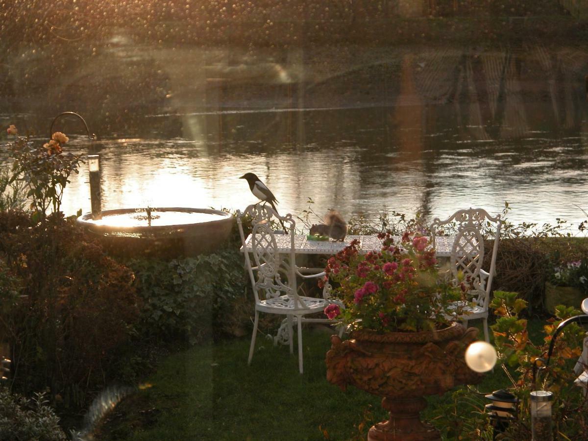 B&B Chiswick Riviera With Free Parking *